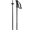 ARCTIC LADY SKI POLES