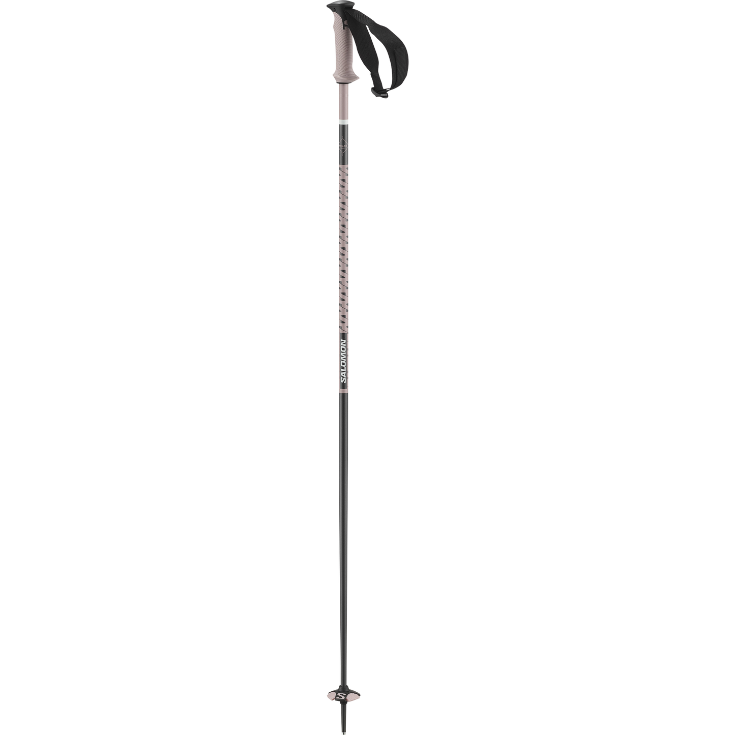 POLAR PRO SKI POLES