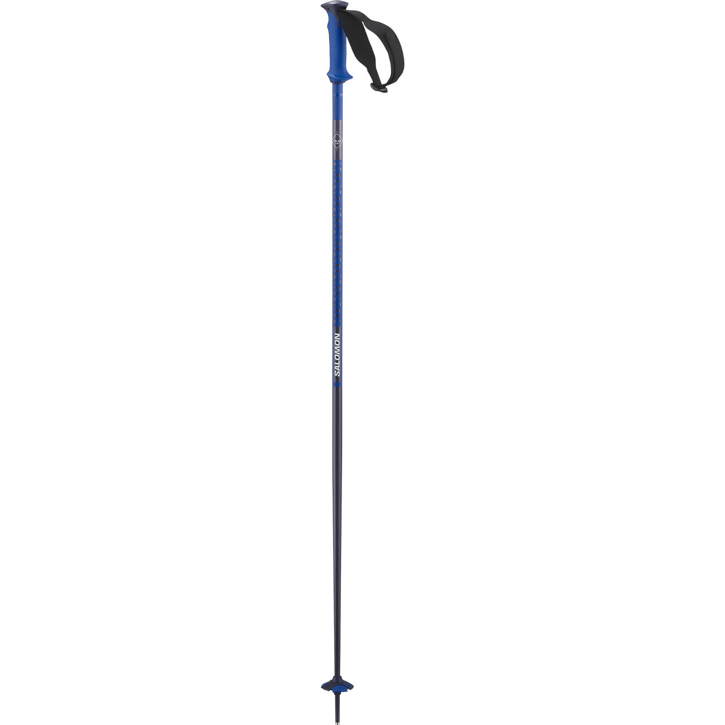 POLAR PRO SKI POLES