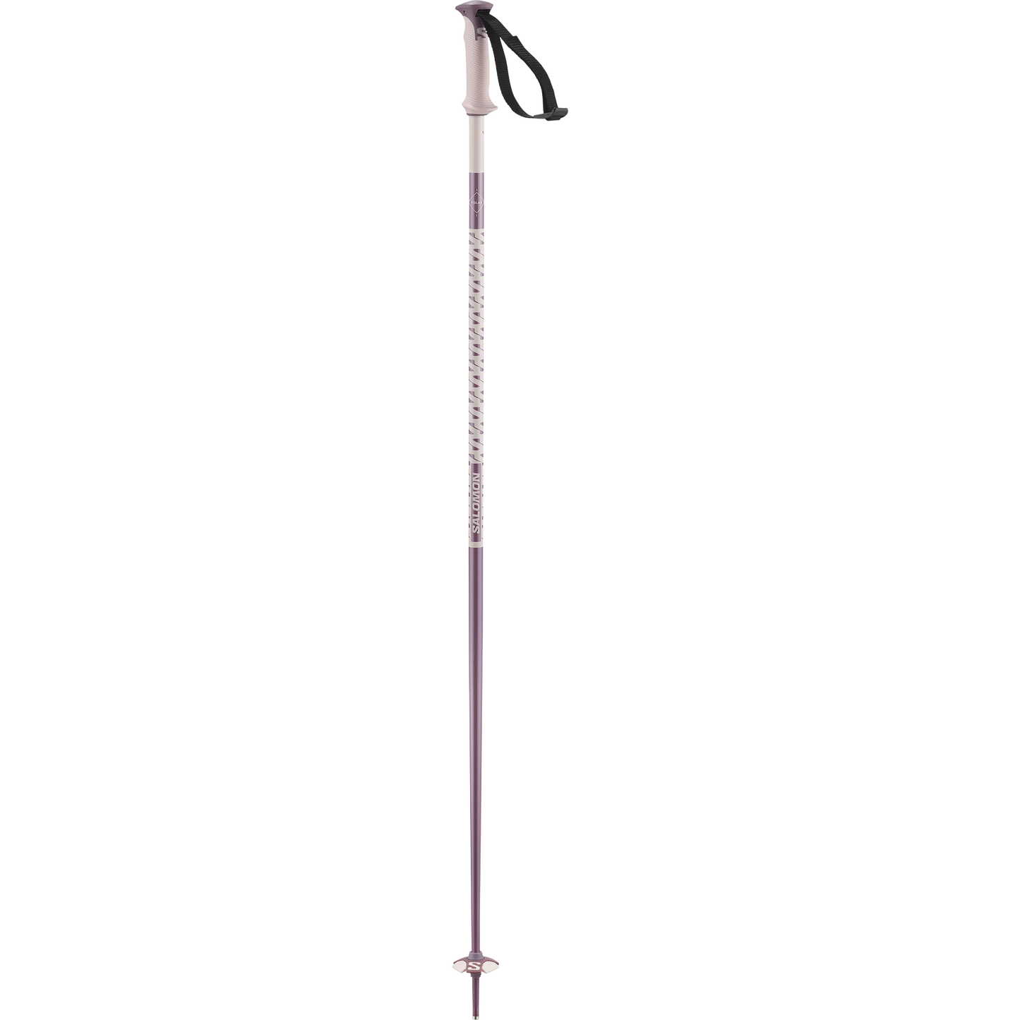 POLAR SKI POLES