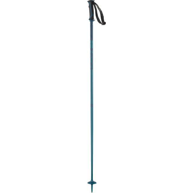 ARCTIC SKI POLES