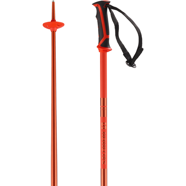 ARCTIC SKI POLES