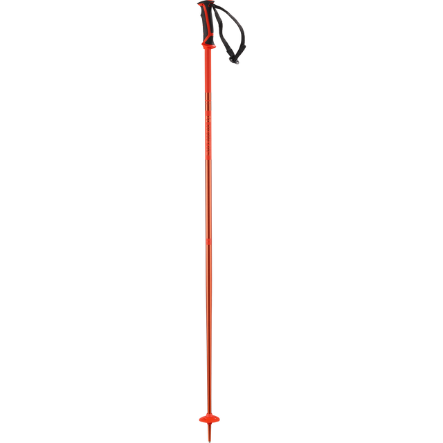 ARCTIC SKI POLES