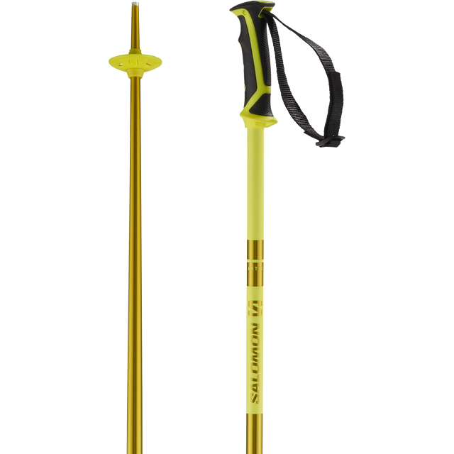 ARCTIC SKI POLES