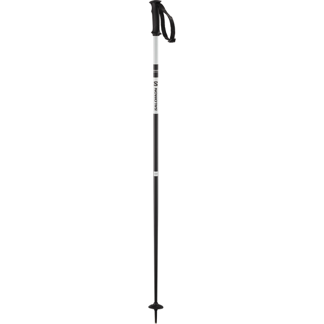 X NORTH SKI POLES