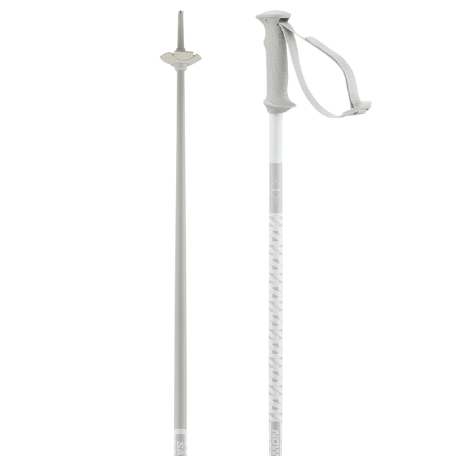 POLAR ACCESS SKI POLES