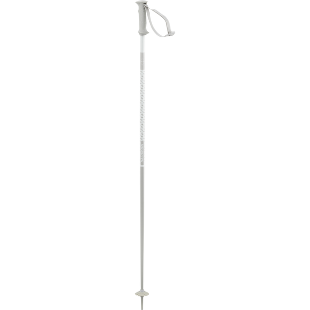 POLAR ACCESS SKI POLES