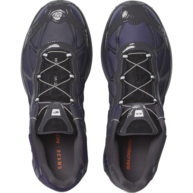 XT-WHISPER BEAMS