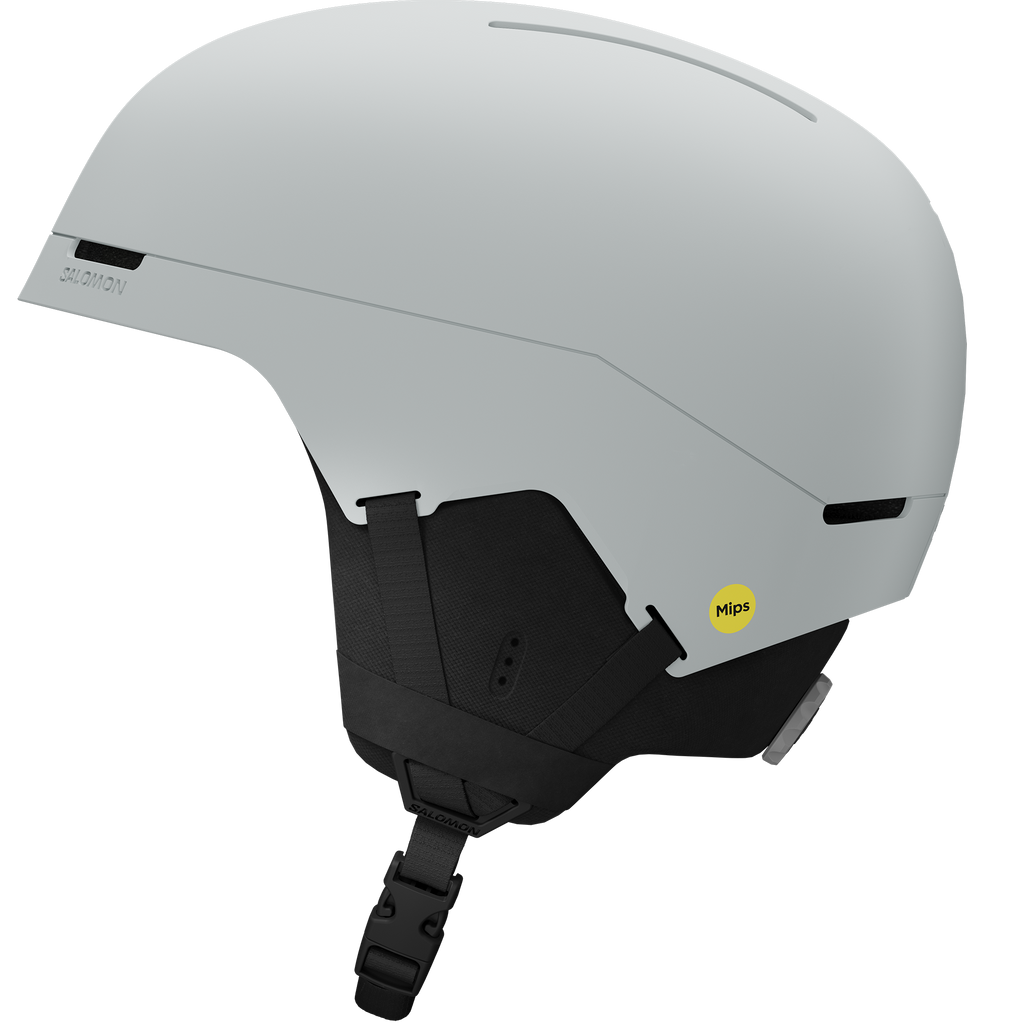 BRIGADE INDEX MIPS