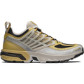 ACS PRO 20 Years Anniversary Golden Archive