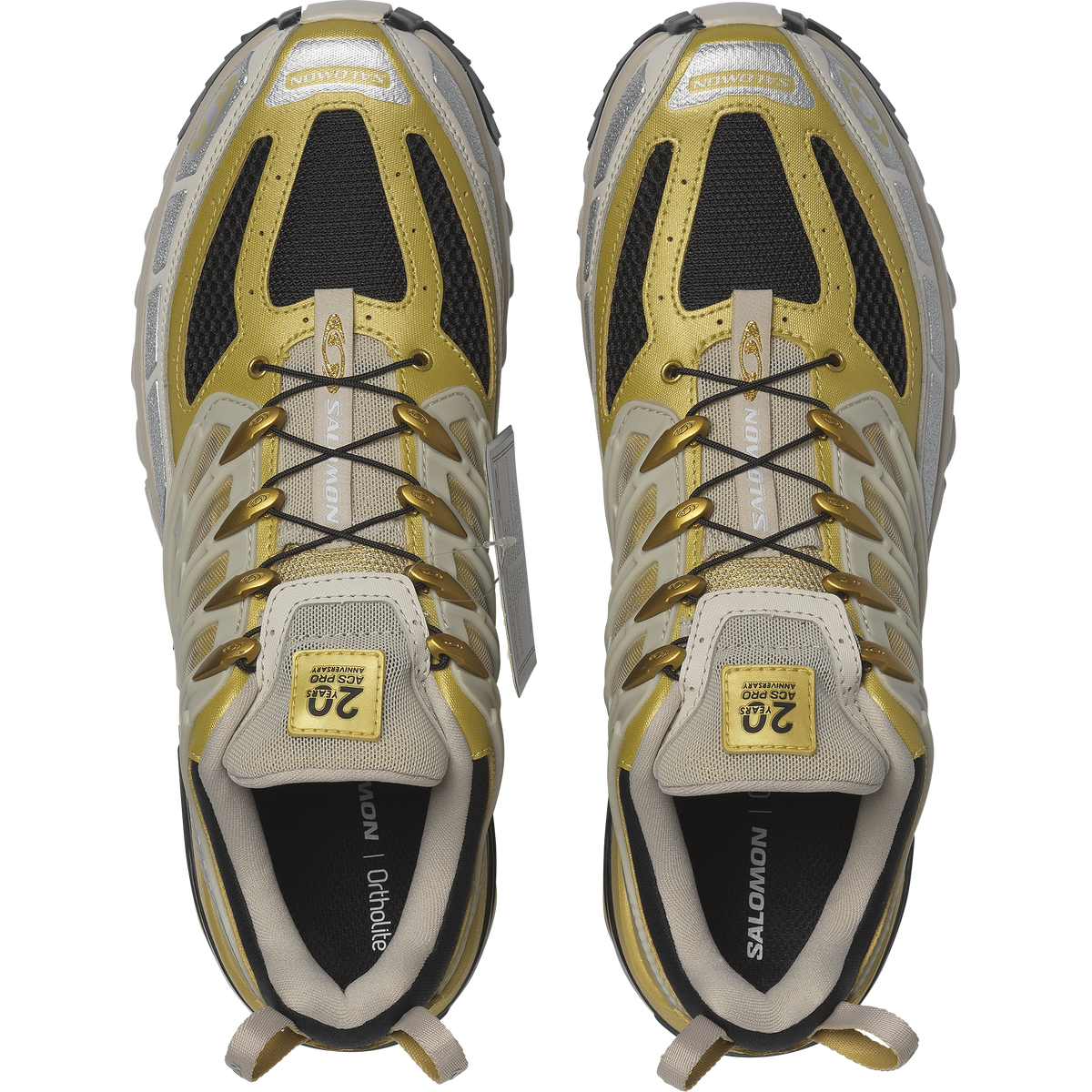 ACS PRO 20 Years Anniversary Golden Archive