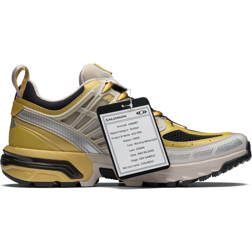 ACS PRO 20 Years Anniversary Golden Archive