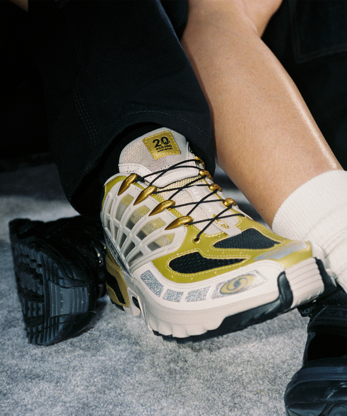 ACS PRO 20 Years Anniversary Golden Archive