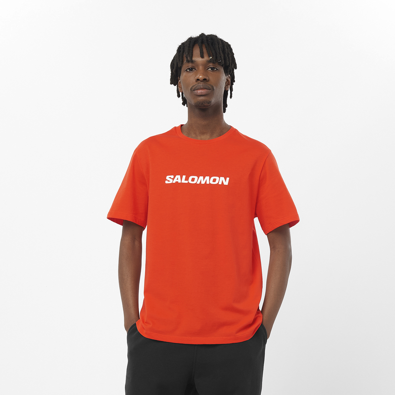 Salomon Graphics