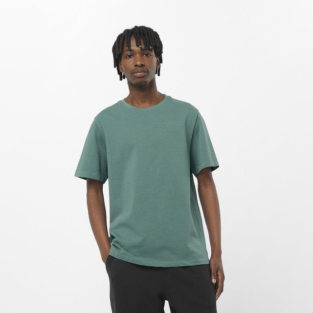 SAL LOGO PRIDE SS TEE MEN'S