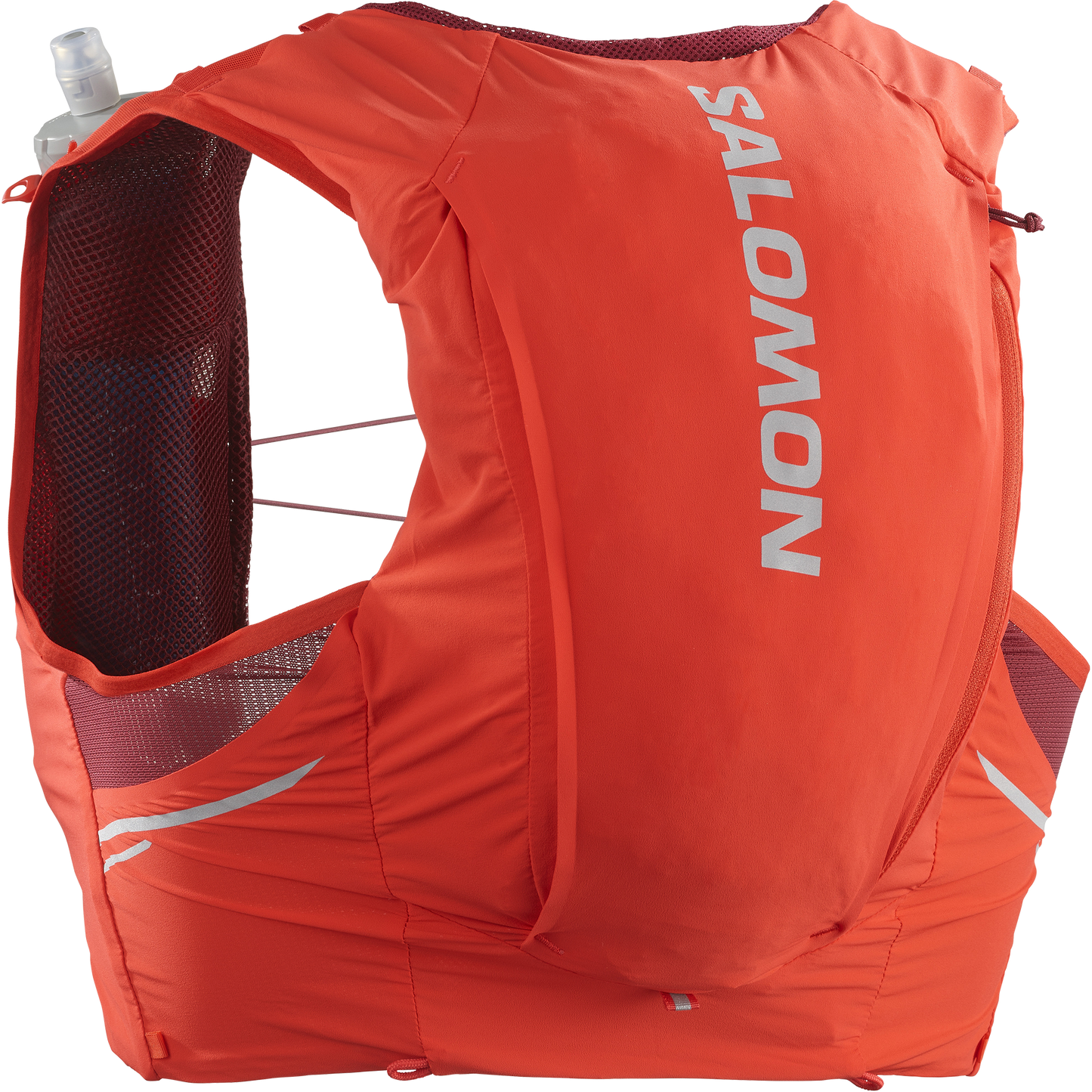 Salomon adv skin 10 store